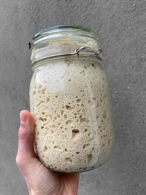 Levain naturel, le levain vivant avec des levures sauvages et des bactéries lactiques