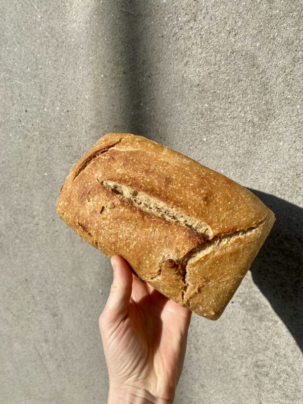 pain froment et seigle bouilli au levain naturel et biologique