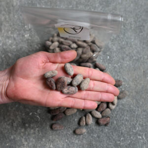 cacaobonen Bean-to-bar