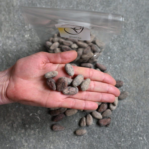 cacaobonen Bean-to-bar